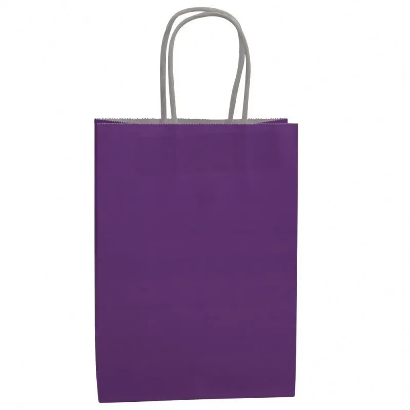 Custom Recyclable Printed High Quality Packaging Kraft Paper Bag With Twisted Handles 1