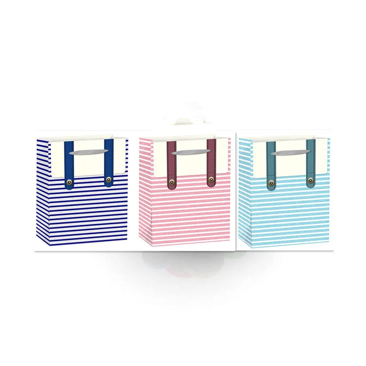 Direct Order 210G Ivory Paper 4C Matt Lamination Ribbon Rope Paper Gift Bag 1