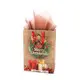 Jialan the paper bag vendor for gift stores 3