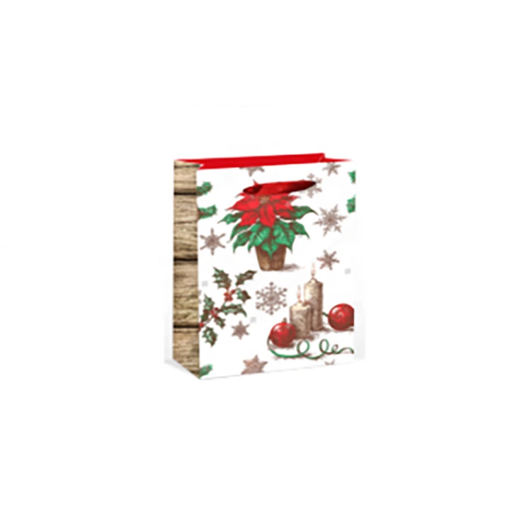 High Quality Foldable Customized Size Printing Christmas Paper Bags With Rope Handle 1