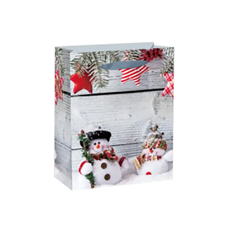 Jialan bulk christmas paper gift bags wholesale for packing christmas gift 3