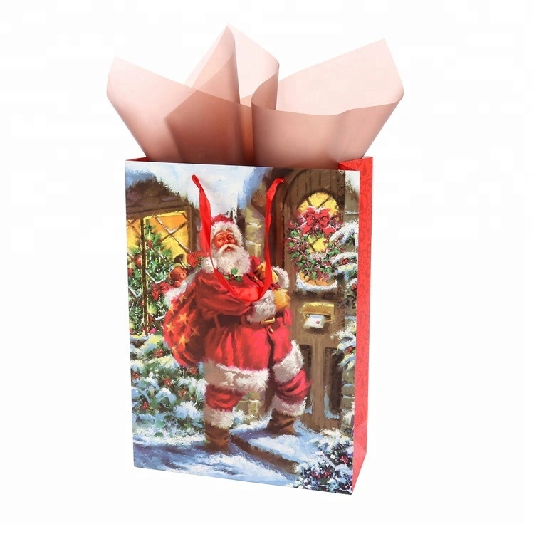Top Quality Reusable Fancy Cartoon Print PP Rope Handle Santa Pattern Gift Paper Bags 1