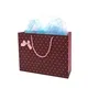 Jialan exquisite paper gift bags company for holiday gifts packing 4