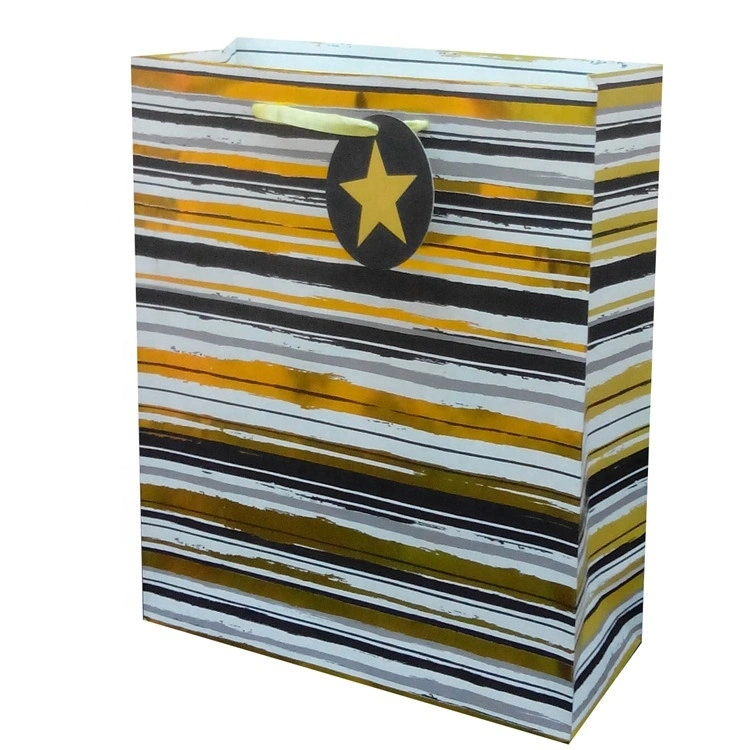 Top Quality Gold Hot Stamping Gift Paper Bags With PP Rope Handles 1