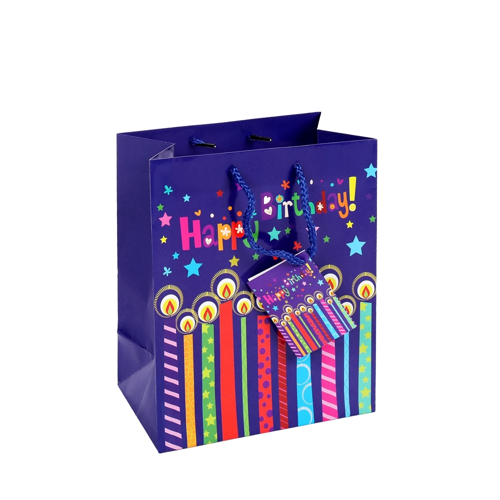 Customized Color Lovely Large Capacity Delicate DIY Blue Birthday Gift Bags With Small Card 1
