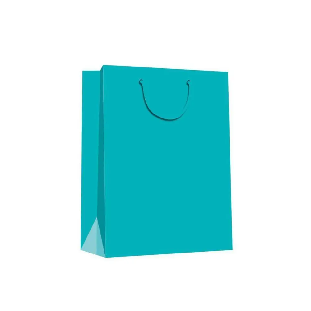 Wholesale Custom Fashion Solid Color Strong Paper Gift Bags With Rope Handles 1