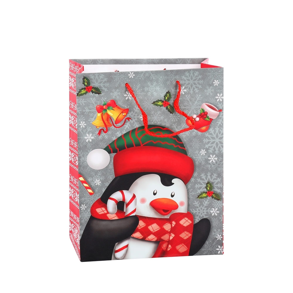 Popular Recycled Durable Cheap CMYK Paper Gift Wrapping Bags With Handles 1