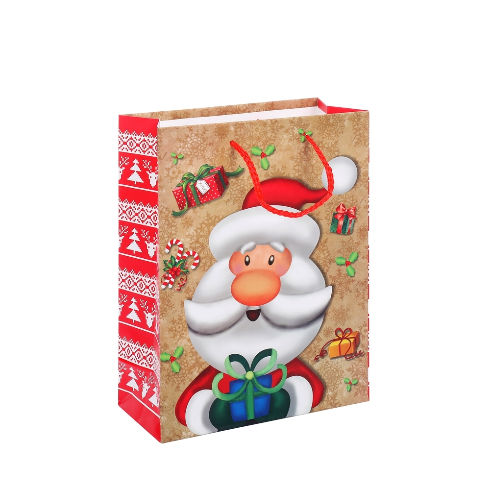 New Product Luxury Eco-friendly Reusable Folding Promotional Paper Bags 1