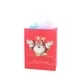 Jialan buy personalized gift bags company for packing birthday gifts 6