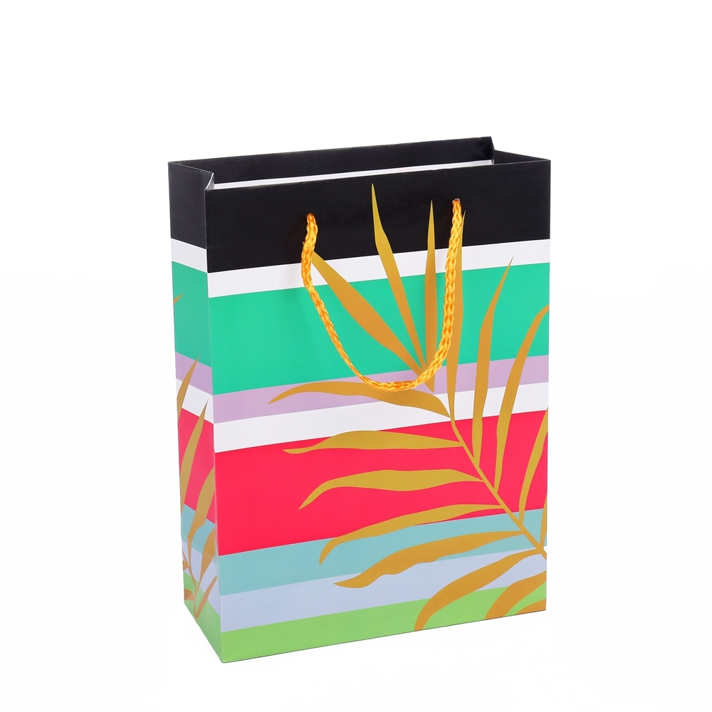 The Latest Design Reusable Eco-friendly Colorful Beautiful Fashion Paper Gift Bag With Rope Handle 1