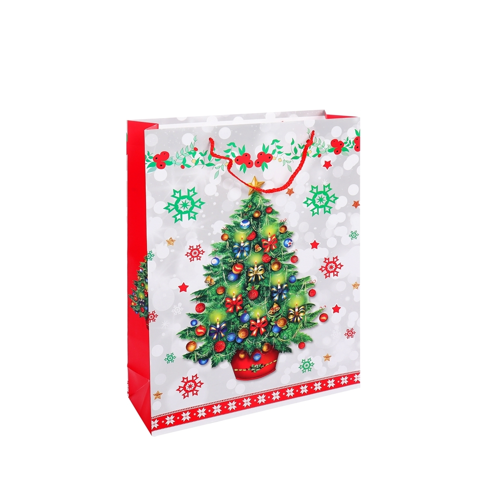 Jialan Package printed gift bags supplier for holiday gifts packing 2