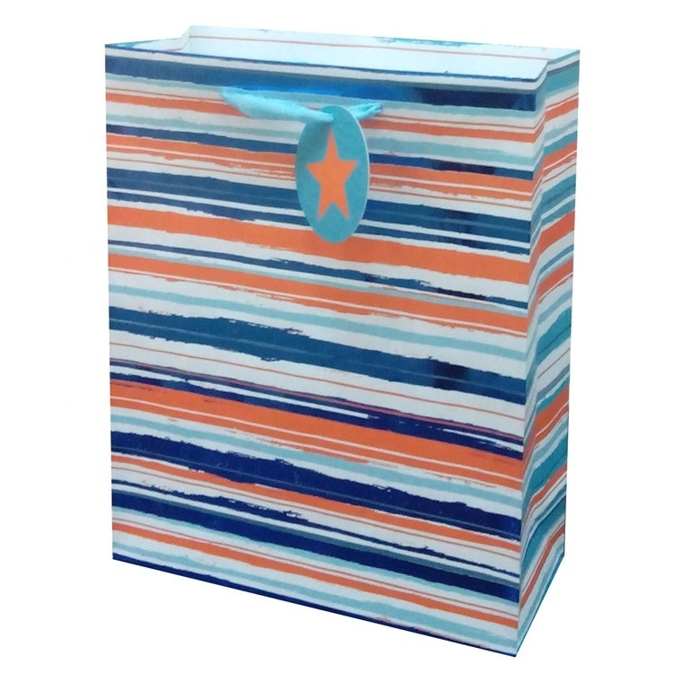 Hot Stamping Favorable Price Gift Paper Shopping Bags With Rope Handle 1