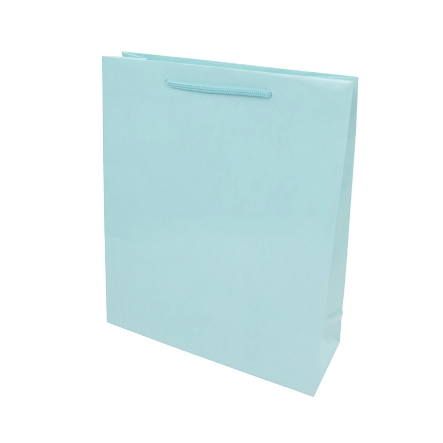 Luxury dumb film bright film solid color kraft clothing garment packaging paper bags for clothes 1
