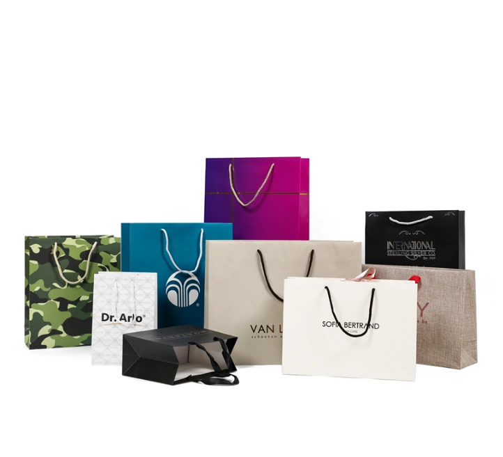 Customized Various Of Promotional  Advertising Paper Bag Manufacturer 1