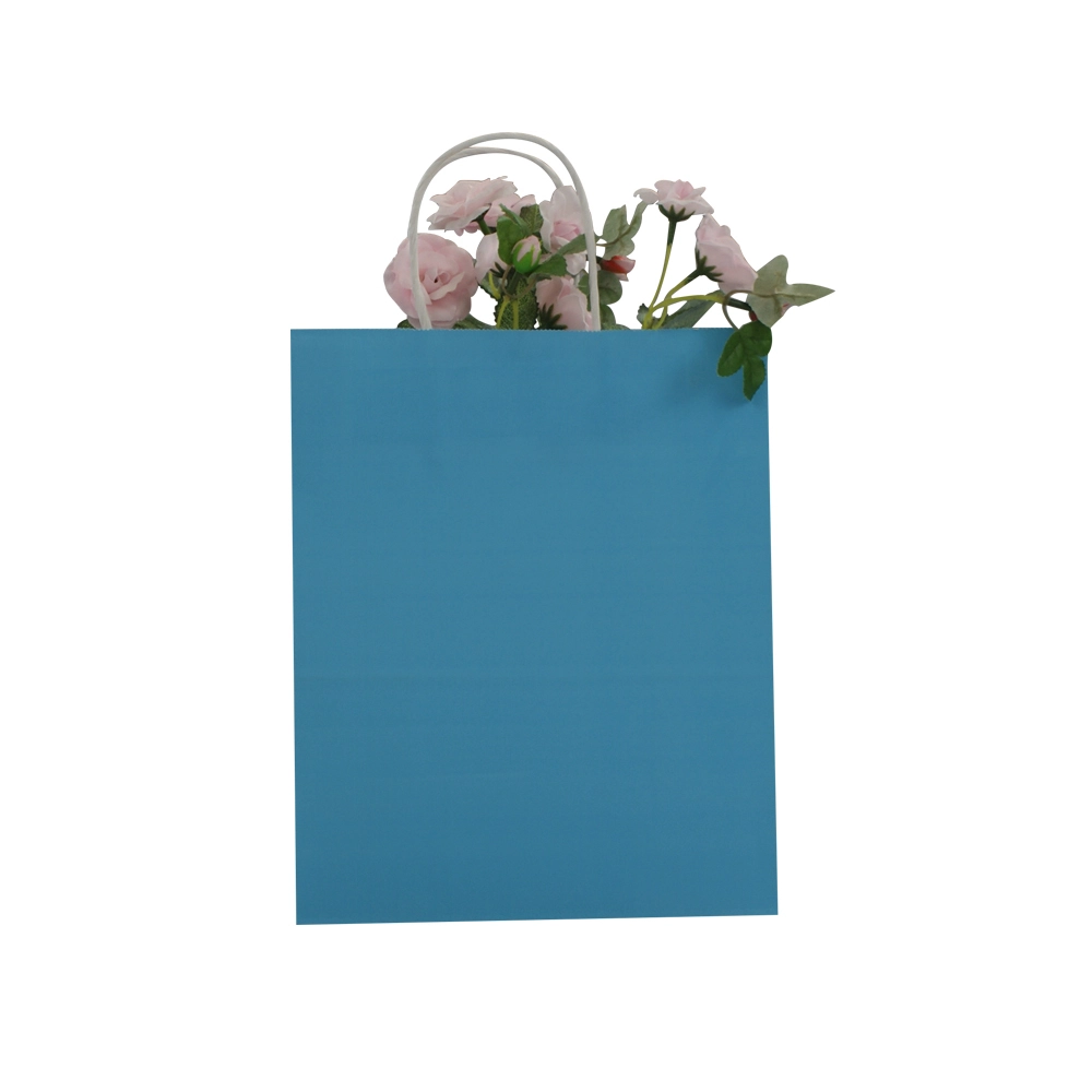 Jialan Package brown paper bags with handles the range wholesale for daily shopping 3