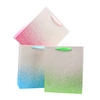 Jialan Package cheap small paper bags factory for holiday gifts packing 3
