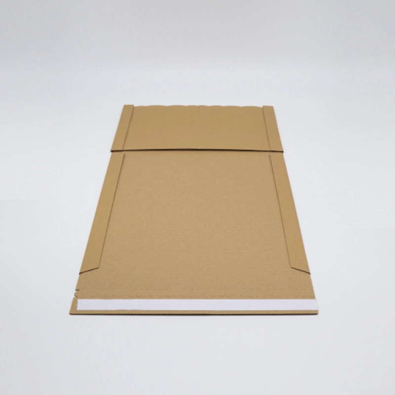 Boîtes postales en carton ondulé de couleur personnalisée pour la livraison 3