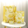 Jialan Package paper bags with handles vendor for packing birthday gifts 2
