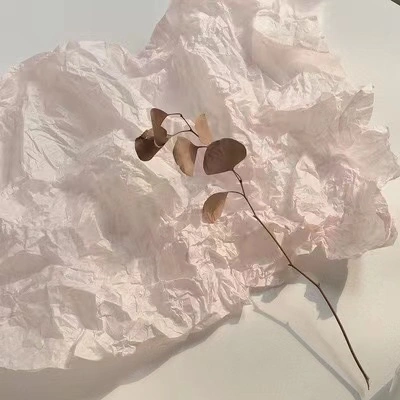تخصيص المناديل الورقية السوداء بالجملة 2