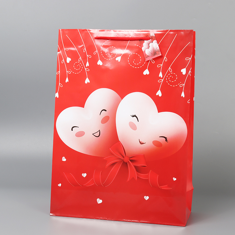 Manufacturer Wholesale High Quality Gift shopping bags for Valentine's Day 5