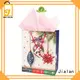 Jialan Eco-Friendly gift bags ideal for packing gifts 1