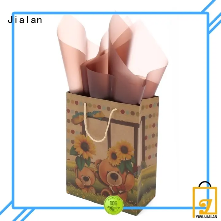 Jialan good quality paper bag perfect for clothing stores 1