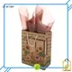 Jialan good quality paper bag perfect for clothing stores 1