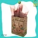 hot selling paper bag satisfying for shoe stores 1