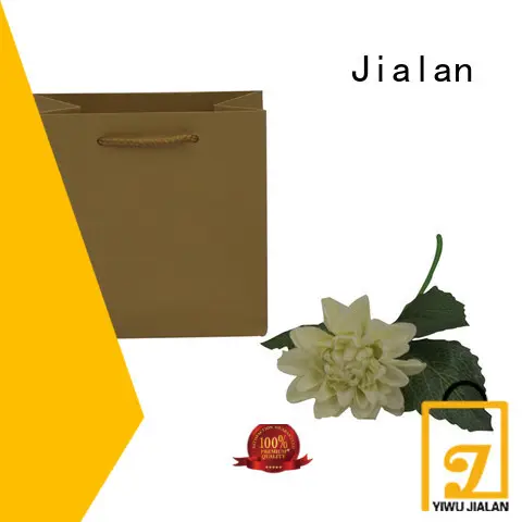 Jialan gift bag very useful for holiday gifts packing1 1