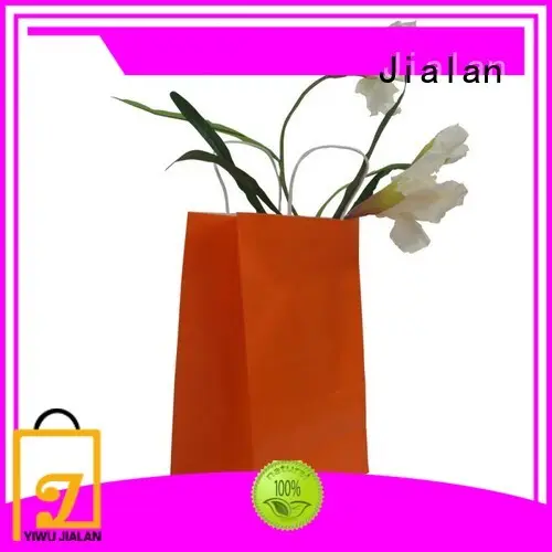 Jialan personalized gift bags wholesale vendor for packing birthday gifts 1