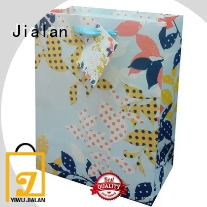 Jialan Suministro de bolsas de regalo de papel ecológicas para empaquetar regalos de cumpleaños 1