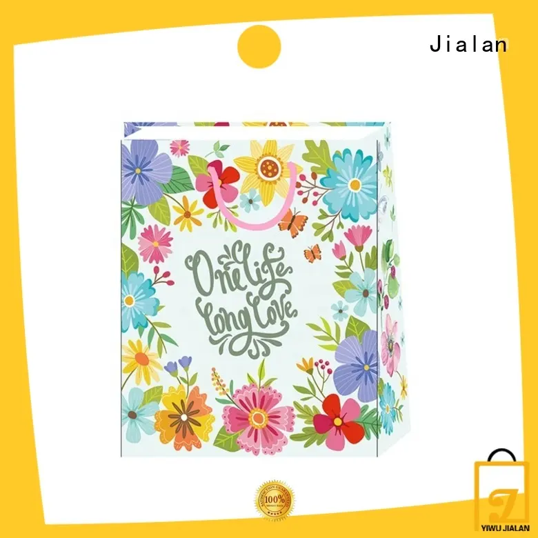 economical gift bag company for holiday gifts packing 1