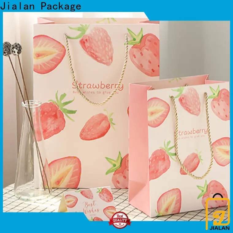 Professional gift bags wholesale for holiday gifts packing 1