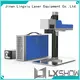 Lxshow marking laser machine manufacturer for Cooker 1