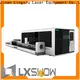 Lxshow laser cut metal manufacturer for Spring steel Sheet 1