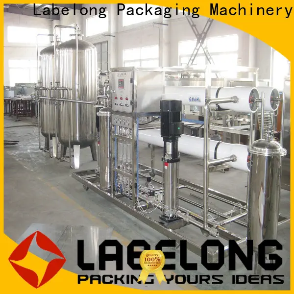 Labelong Packaging Machinery ro series reverse osmosis water filter core for process water 1
