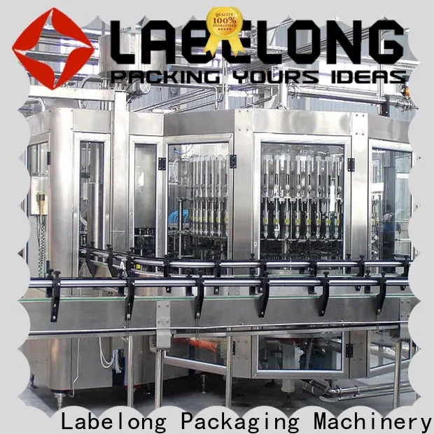 Labelong Packaging Machinery water bottling plant manufacturers for flavor water 1