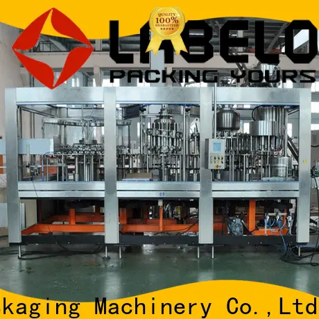 Labelong Packaging Machinery small bottling machine compact structed for still water 1