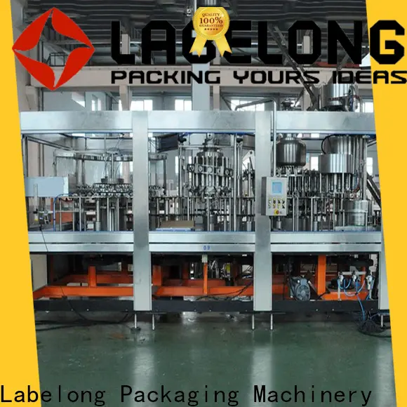 Labelong Packaging Machinery quality water pouch packing machine China for flavor water 1