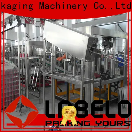 Labelong Packaging Machinery mineral water plant machinery for flavor water 1