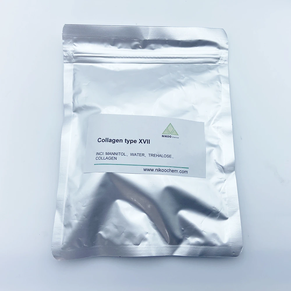 Recombinant Humanized Type XVII Collagen promotes skin ageing and wound repair 1