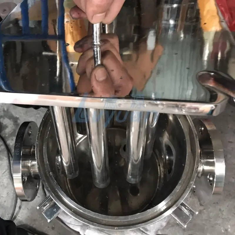 Stainless Cartridge Filter Housing - for Beverage Industry - Lvyuan Filter 6