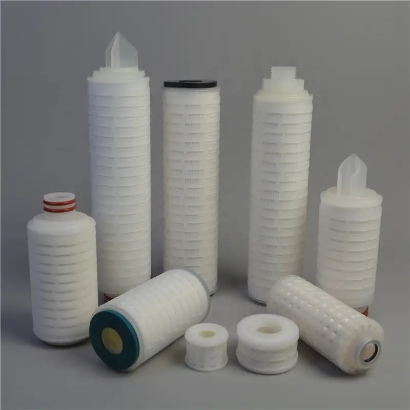 Guangdong Absolute rating 0.2 micropore fold ptfe filter element for gas/liquid filter with DOE/226/222 1