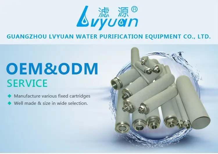 Lvyuan Filter titanium filter with custom services for sea water 2