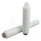 Quality pleated membrane filter from China for water 1