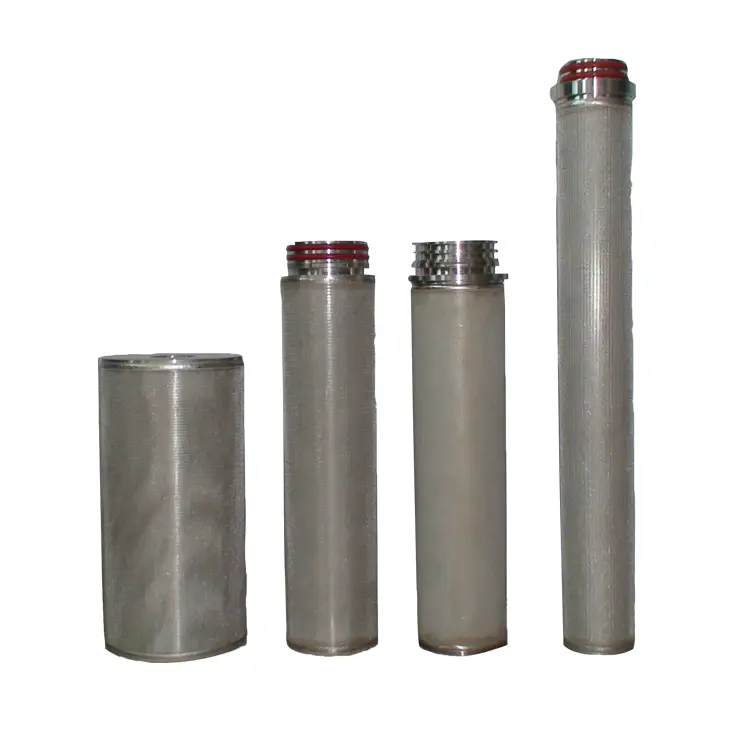 Hot Sale Sintered Ss Filters Sintered Ss Filters Company 2