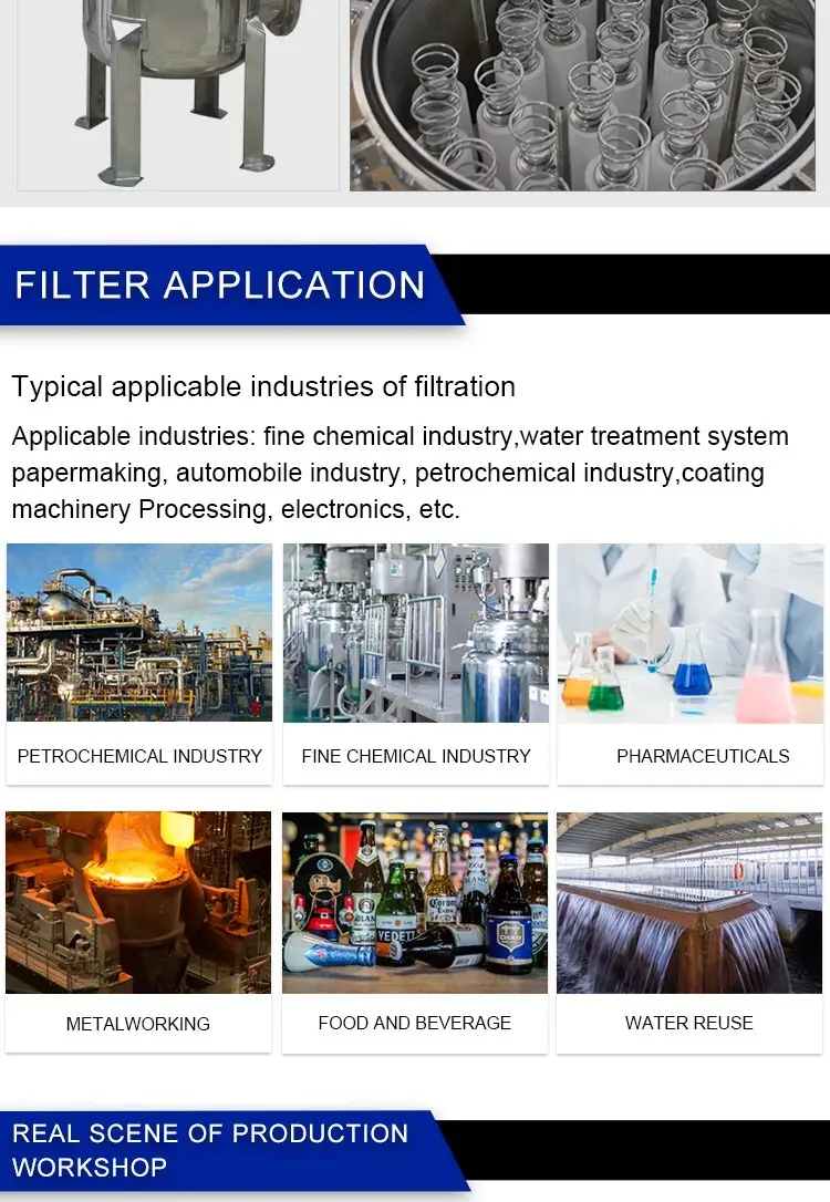 Stainless Steel Multi Cartridge Filter Housing 11