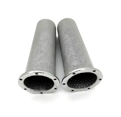 SS Filter Element Within 7 Working Days by Lvyuan Filter 3