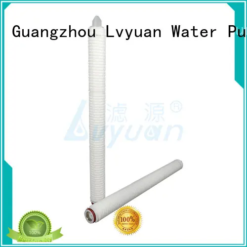 pleated pleated type filter cartridge for Lvyuan 1