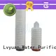 Lvyuan pes pp pleated filter cartridge with stainless steel for diagnostics 1